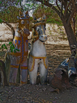 Two Horses
